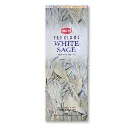 Sauge blanche