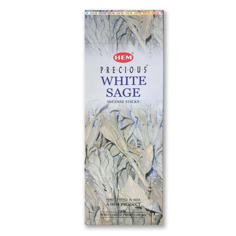 Sauge blanche